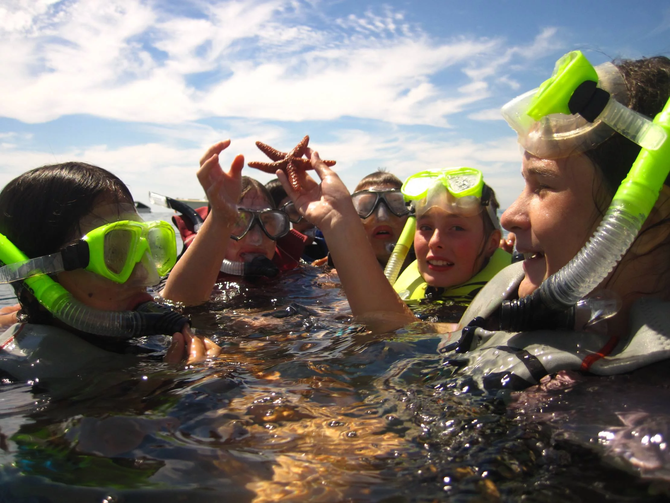 snorkel snorkel