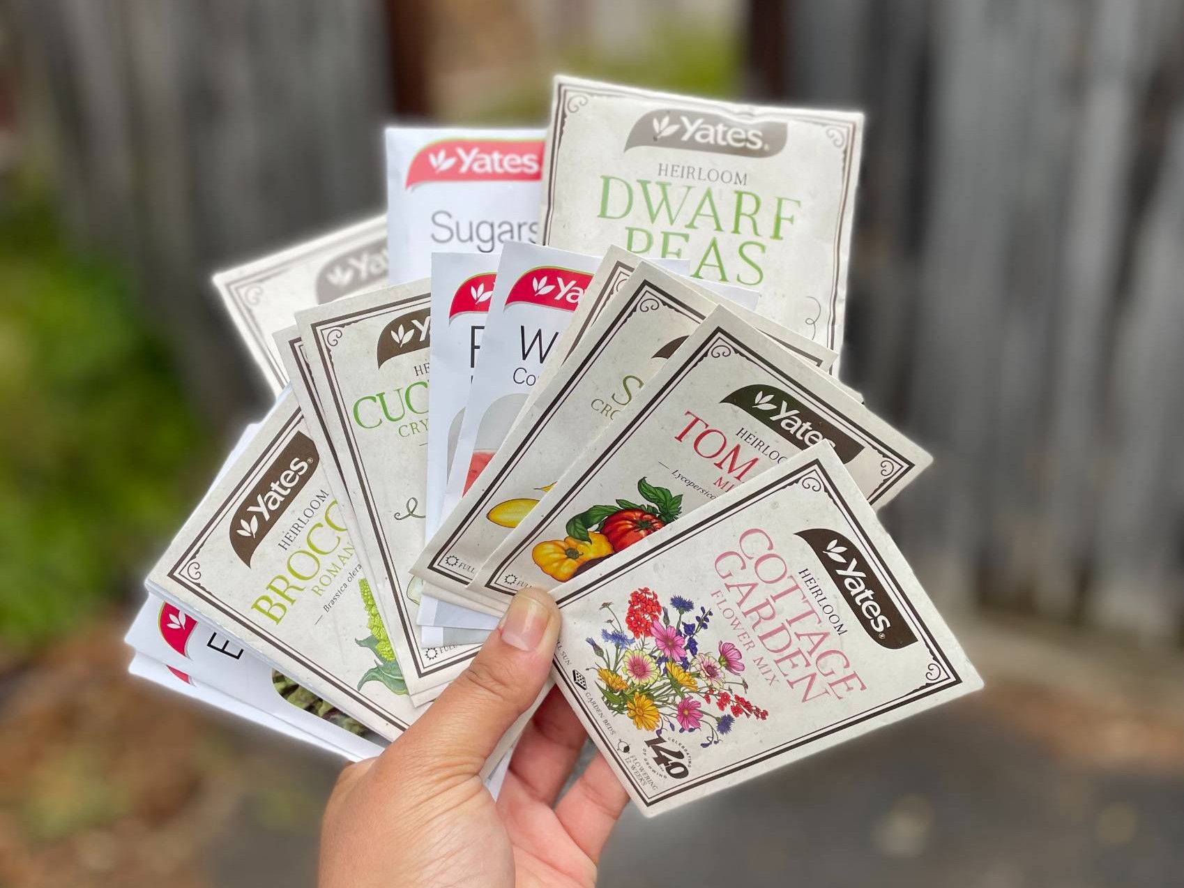 veggie patch 2 (2) veggie patch 2 2 uai