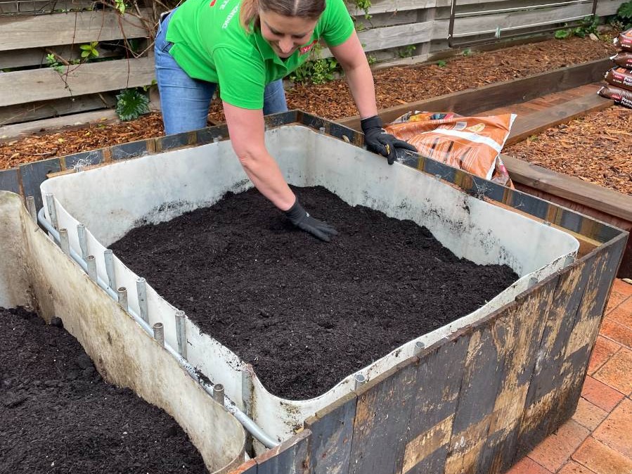 veggie patch 2 (4) veggie patch 2 4 uai