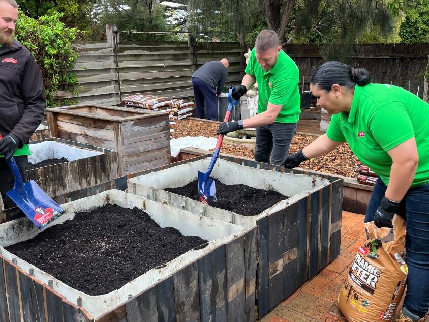 veggie patch 2 (9) veggie patch 2 9 uai