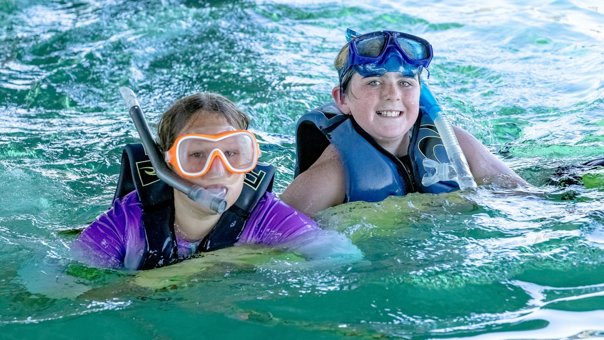 Snorkelling 250108.GazzaB.PORTSEA 1107 uai