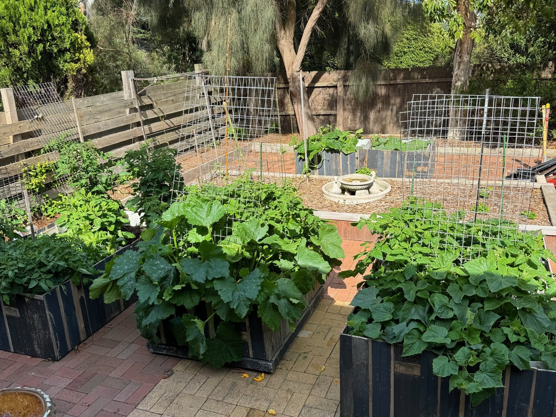 IMG_0893 (1) IMG 0893 1 scaled uai