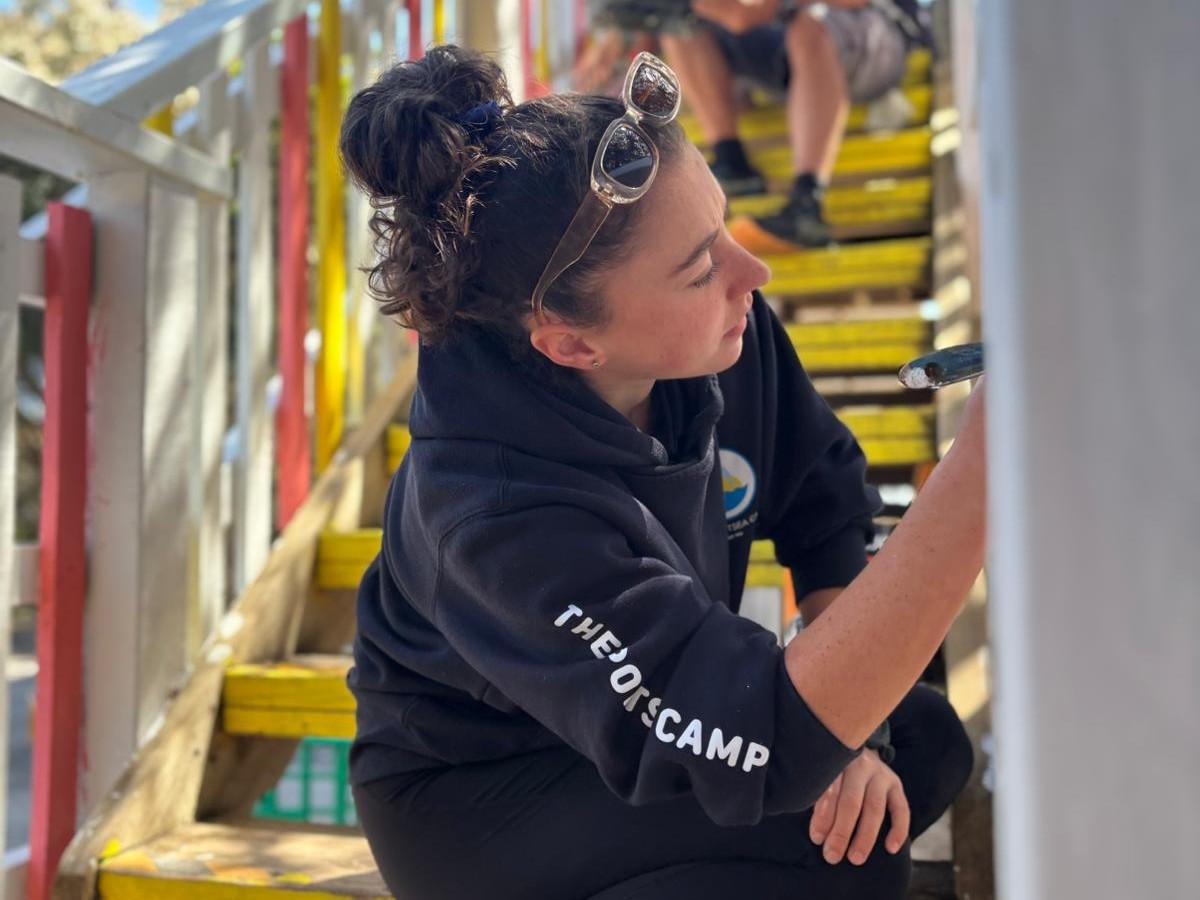 flying fox 1 (3) flying fox 1 3 uai